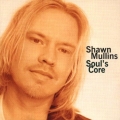 Shawn Mullins - Soul's Core